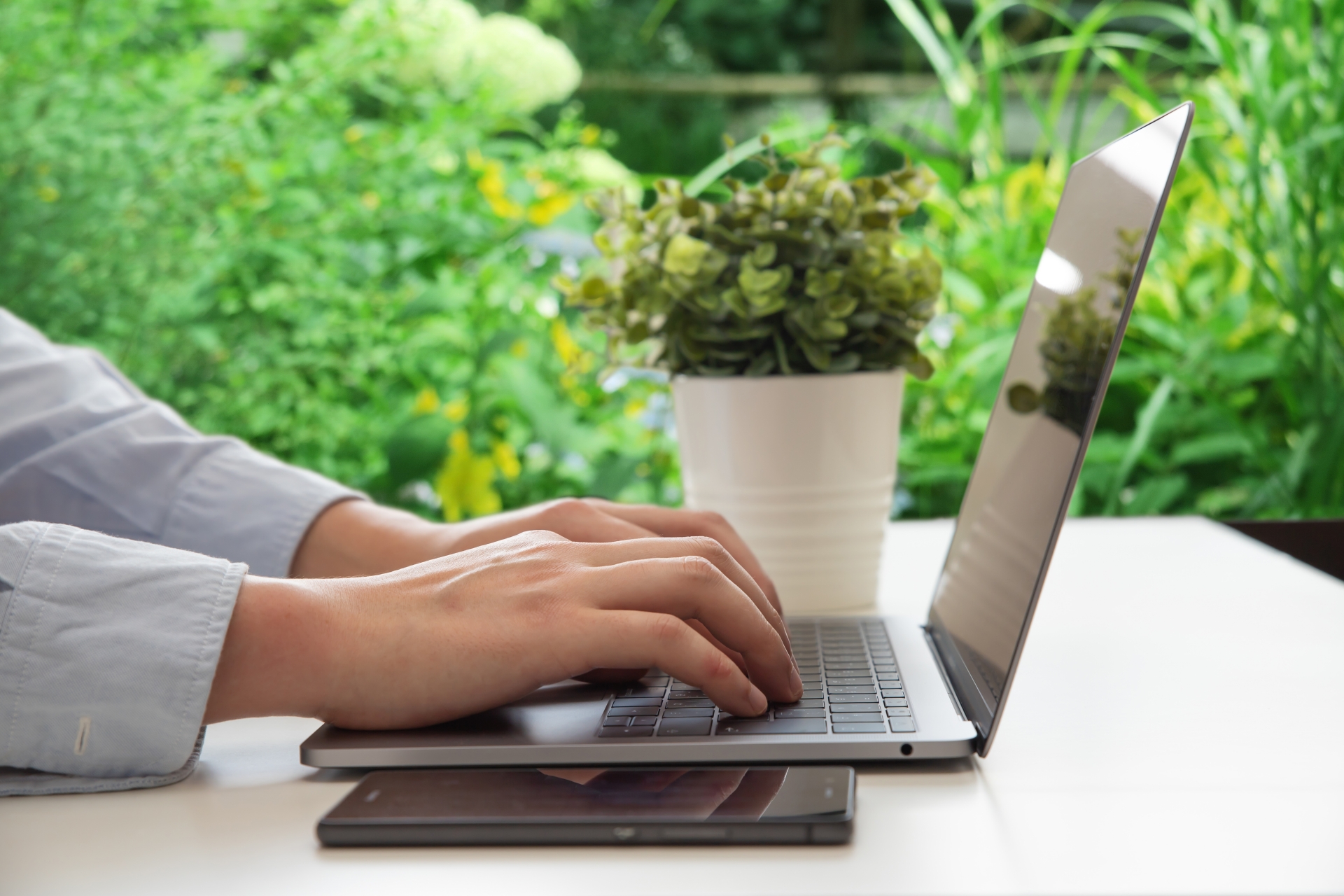 「観葉植物も、ずっとそこにあるわけじゃない」レンタルのやさしさ